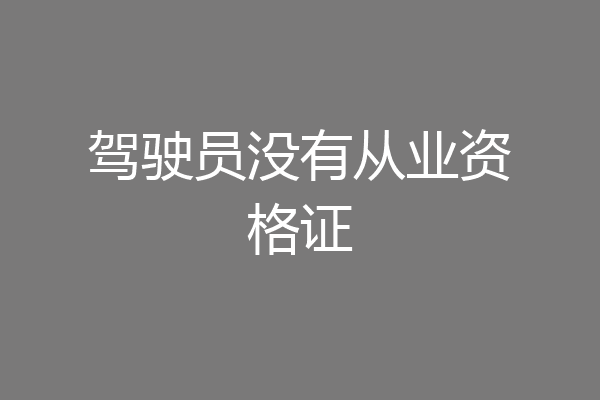 驾驶员没有从业资格证