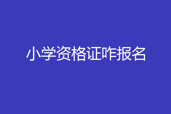 小学资格证咋报名