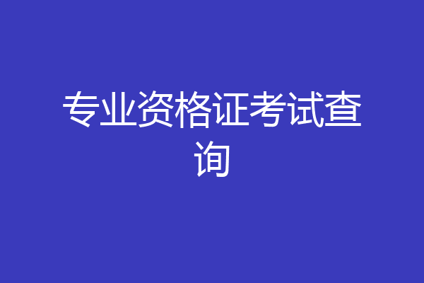 专业资格证考试查询