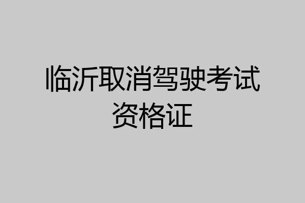 临沂取消驾驶考试资格证