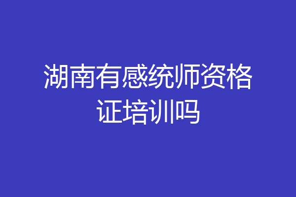 湖南有感统师资格证培训吗