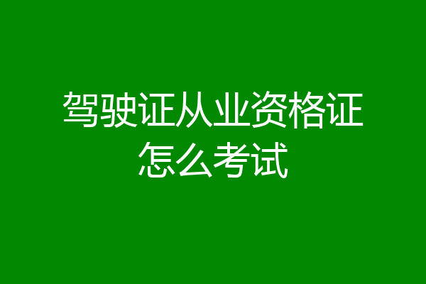 驾驶证从业资格证怎么考试