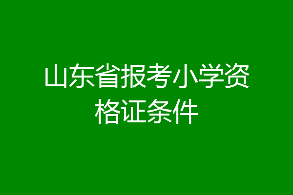 山东省报考小学资格证条件