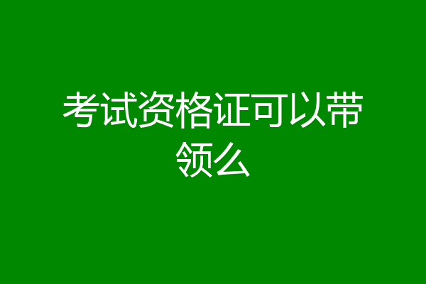 考试资格证可以带领么