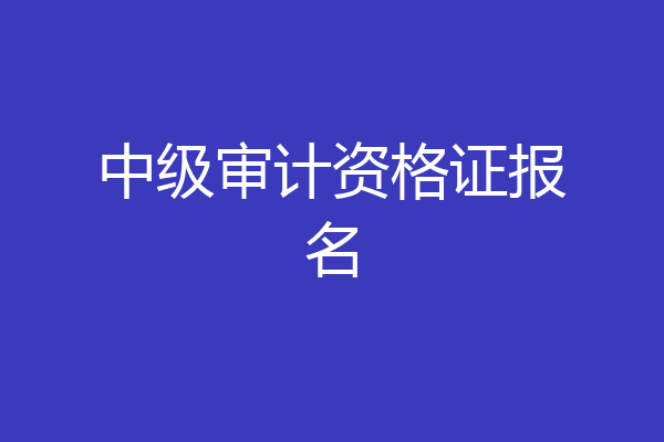 中级审计资格证报名