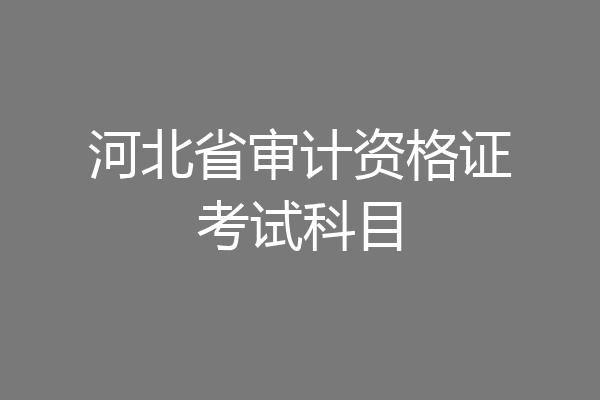 河北省审计资格证考试科目