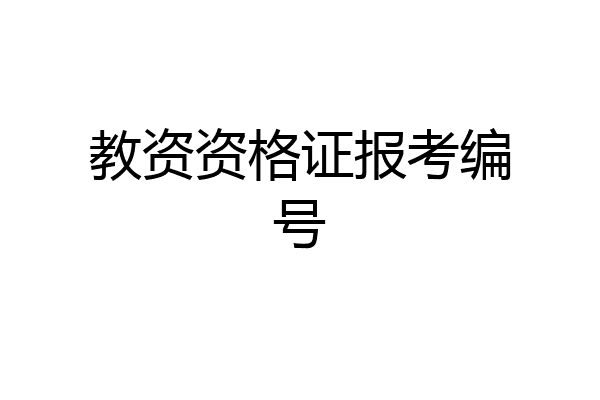 教资资格证报考编号