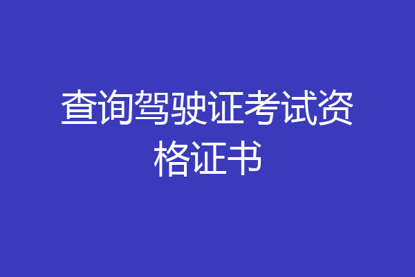 查询驾驶证考试资格证书