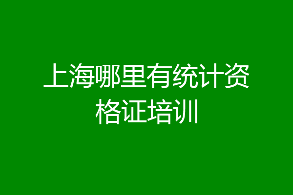 上海哪里有统计资格证培训