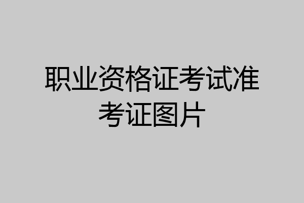职业资格证考试准考证图片