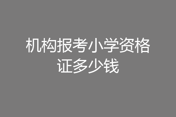 机构报考小学资格证多少钱