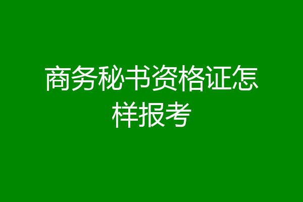 商务秘书资格证怎样报考