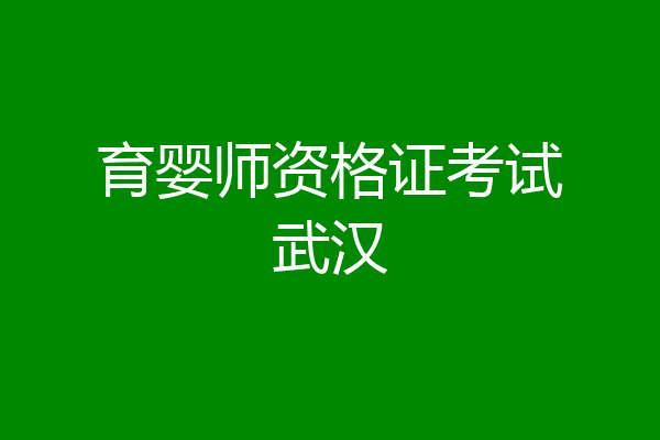 育婴师资格证考试武汉