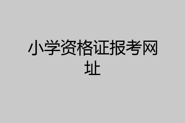 小学资格证报考网址