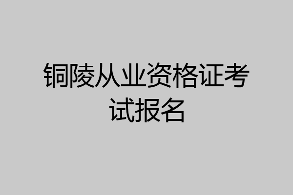 铜陵从业资格证考试报名