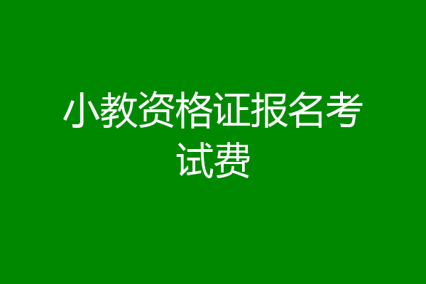小教资格证报名考试费