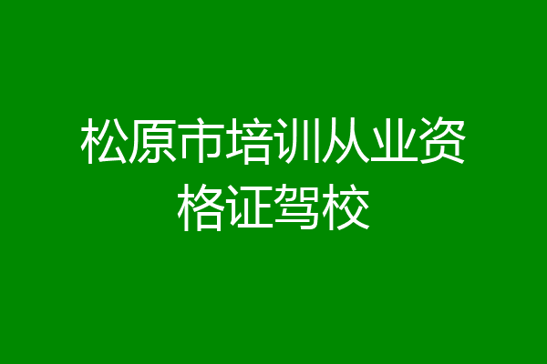 松原市培训从业资格证驾校