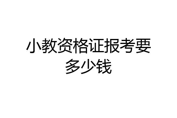 小教资格证报考要多少钱