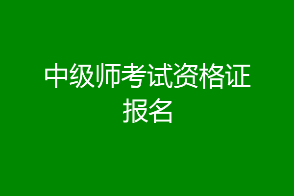 中级师考试资格证报名