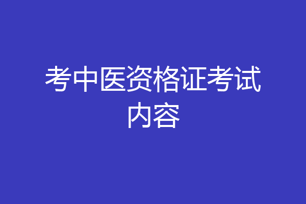 考中医资格证考试内容