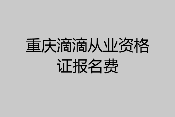 重庆滴滴从业资格证报名费