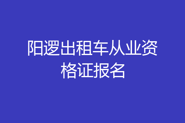阳逻出租车从业资格证报名