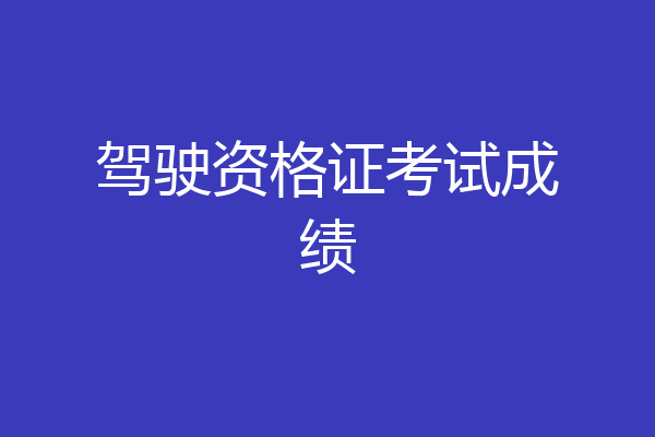 驾驶资格证考试成绩