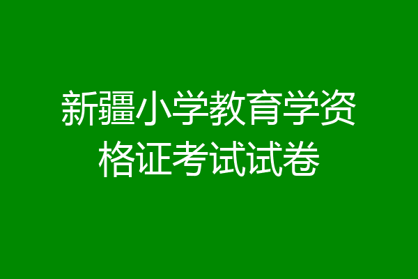 新疆小学教育学资格证考试试卷