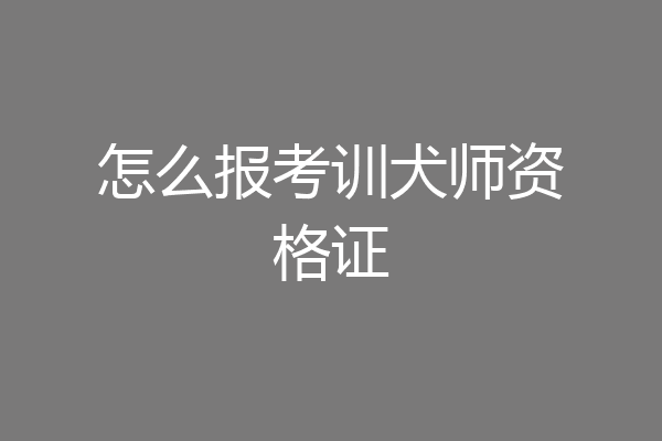 怎么报考训犬师资格证