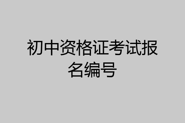 初中资格证考试报名编号