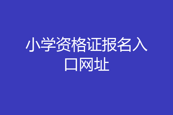 小学资格证报名入口网址