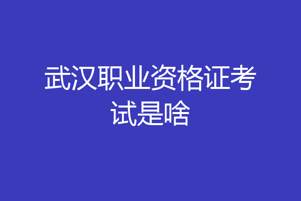 武汉职业资格证考试是啥