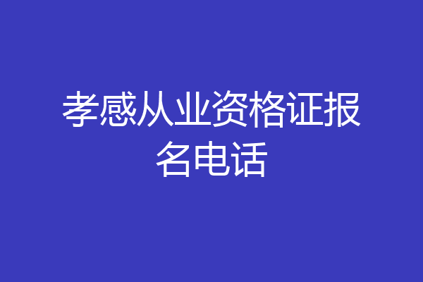 孝感从业资格证报名电话