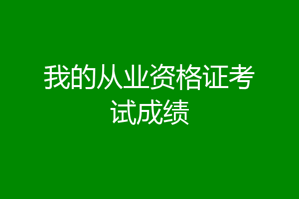 我的从业资格证考试成绩