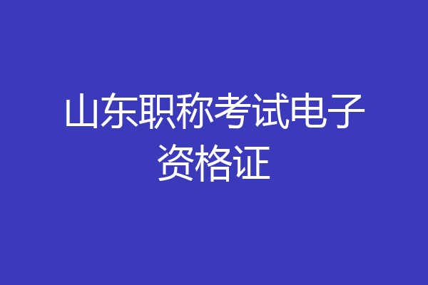 山东职称考试电子资格证