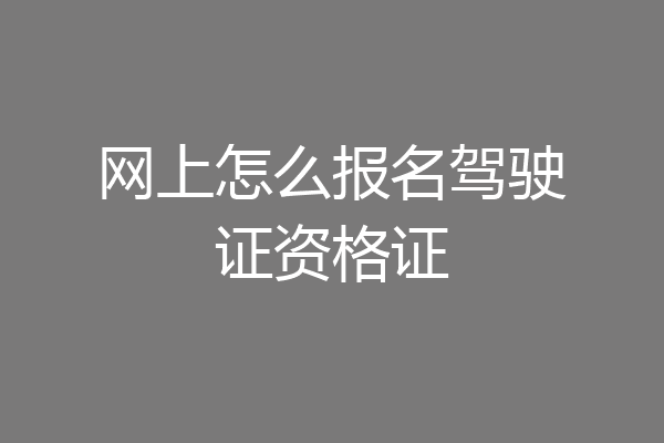 网上怎么报名驾驶证资格证