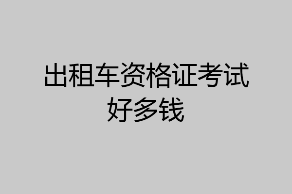 出租车资格证考试好多钱