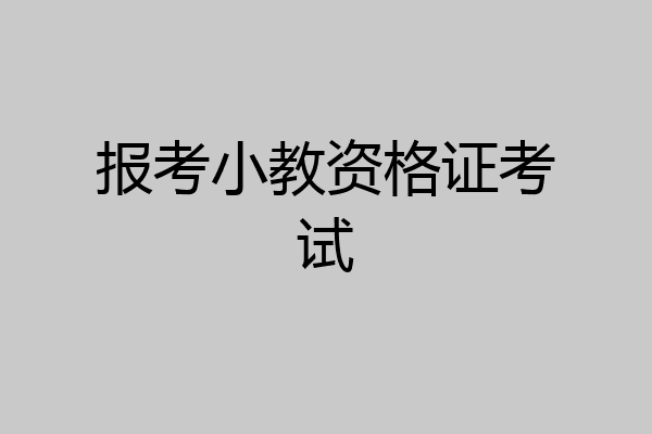 报考小教资格证考试