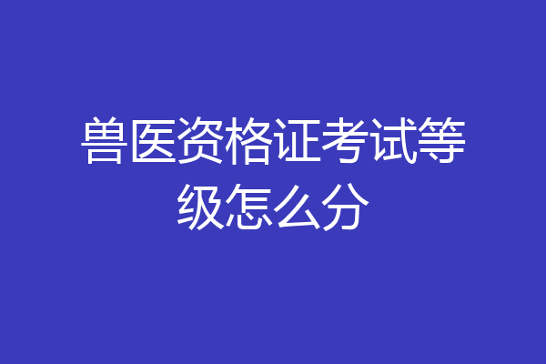 兽医资格证考试等级怎么分