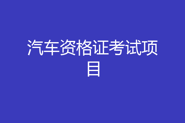 汽车资格证考试项目