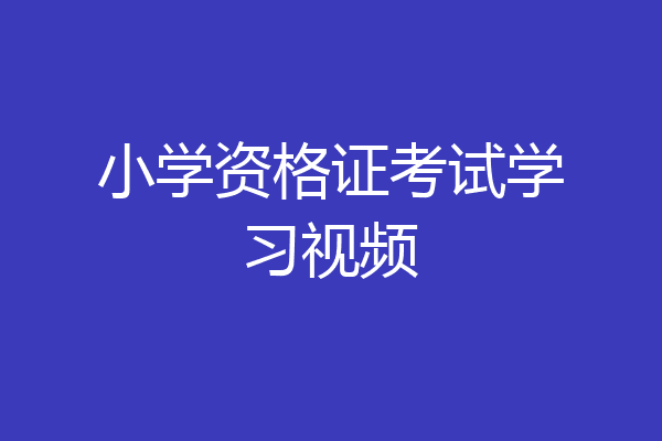 小学资格证考试学习视频
