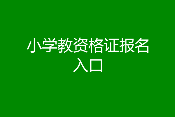 小学教资格证报名入口