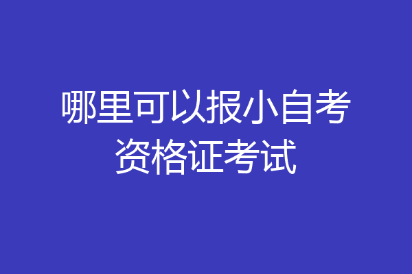 哪里可以报小自考资格证考试