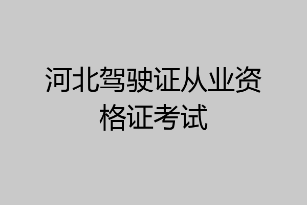 河北驾驶证从业资格证考试