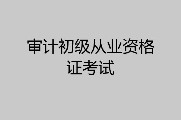 审计初级从业资格证考试