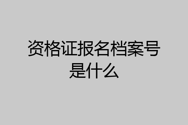 资格证报名档案号是什么