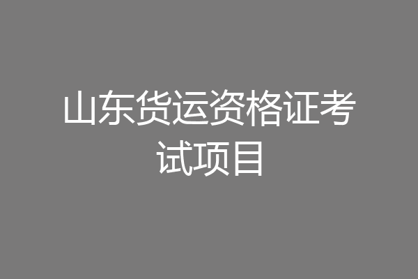 山东货运资格证考试项目
