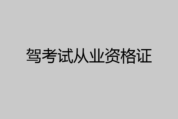 驾考试从业资格证