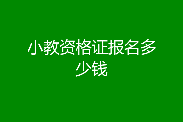 小教资格证报名多少钱