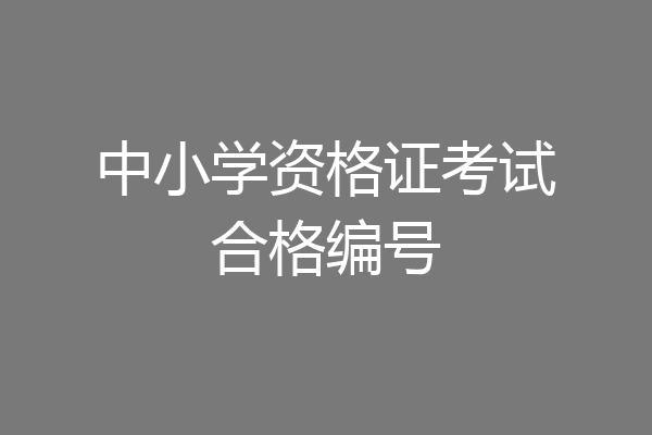 中小学资格证考试合格编号